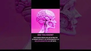 The Human Brain vs Supercomputers: Mind-Blowing Memory Capacity Explained!