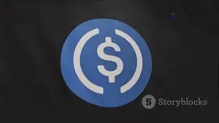 Anon Revenue Share NFTs