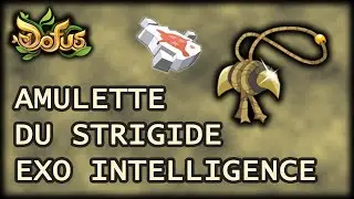 AMULETTE DU STRIGIDE EXO INTELLIGENCE - FORGEMAGIE - 12/10/2022 - Gryfox [DOFUS]