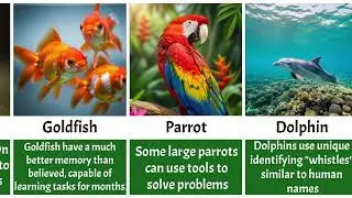 Did You Know? Fascinating Animal Secrets Part 1