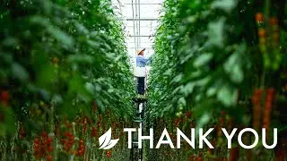 Thank You to The Farm Workers &ndash; The Fresh Food Heroes