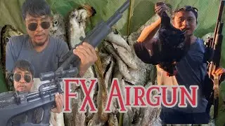 FX Wildcat MK3 review/ .177 License free Gun