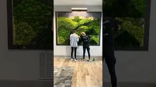 Smoky Mountain Inspired Moss Wall Art | NO MAINTENANCE | Preserved Moss Art | Knoxville, TN