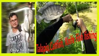 Non stop Tilapia (Blue Gill) , catfish, knifefish angling by Diphu Angling Squad.