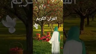 Al Quran Ul karim Urdu tarjuma#sitarajahan #new #trending #video #shortvideo #urduvideos #shorts#