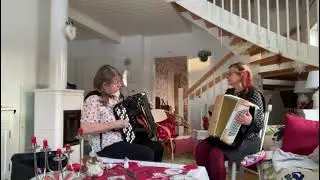 Rantakoivun alla - HoivaPelimannit
