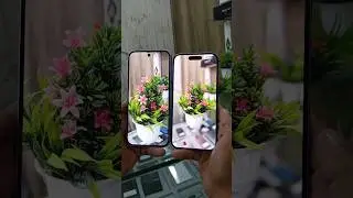 Google Pixel 10 vs iPhone 16 | Camera Test for Portrait Mode #shorts #googlepixel10 #iphone16