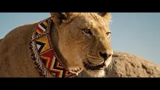 Cecil: King of the Savannah