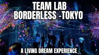 Team Lab Borderless in Odaiba, Tokyo. One of a best attraction place in Tokyo, Japan[HD]
