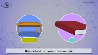 Science Scope Grade &ndash; 3 (Chapter  10) &ndash; Light and Shadow