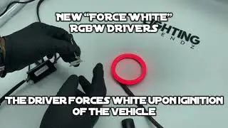 RGBW Force White DRL Driver
