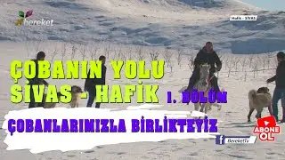 Çobanın Yolu | Sivas'ta Çobanlarımızla Birlikteyiz 1. Bölüm