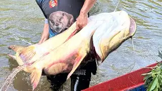 Pesca de sungaro con arp&oacute;n en r&iacute;o cristalino 