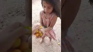 Formos juntas colher umbum, a fartura e grande por aqui, gra&ccedil;as a Deus 