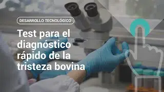 Test para el diagn&oacute;stico r&aacute;pido de la tristeza bovina