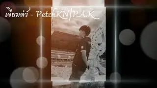 เจียมตัว - PetchKN|P.A.K. ( Official Audio )