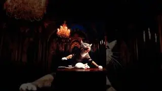 #cat #animation #art #answer #sprunki #kittyeats #a #cartoon #duet