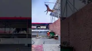 Most athletic dog of all-time? TikTok: @dogslover831