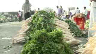Mega Food Park Corporate Film