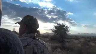 AUAS GAME LODGE