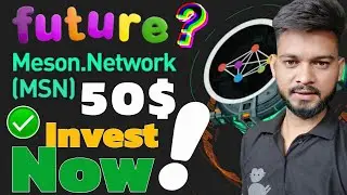 Meson Network Future Prediction