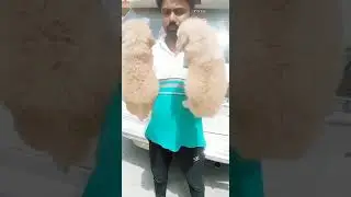 Pet Birds Market India | Pet Birds Shop | Best And Cheapest Bird Market Lal Kurti Bada Bazar Meerut