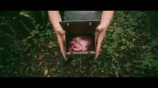 TROPHIC - Ecdysis [Official Video]