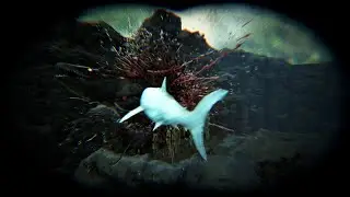 Zombie Mosasaurus vs Glacial Megalodon | Ark Dino Battle | 2022 | Agent Barron