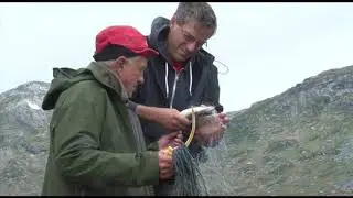 Film fr&aring; Ne&aring;dalen