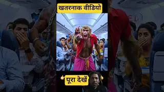 #short #ai #aivlog #monkey #trendingshorts #funny #video खतरनाकवीडियो 🩷🩷😱😱😱👍