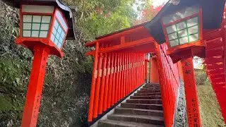 Why I Don&rsquo;t Go To Fushimi Inari Taisha 