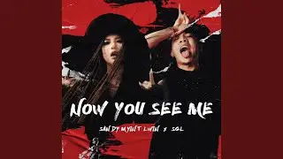 Now You See Me
