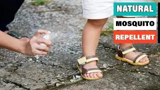 Natural Mosquito Repellent: ✅ Best Natural Mosquito Repellents 2022 (Buying Guide)