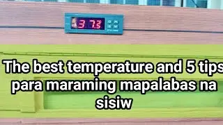 What is the best temperature for egg incubator at 5 tips para maraming mapisang itlog