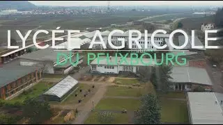 Vidéo de présentation du lycée du Pflixbourg à Wintzenheim