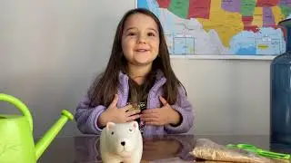 children's activities at home during quarantine (planting plants)