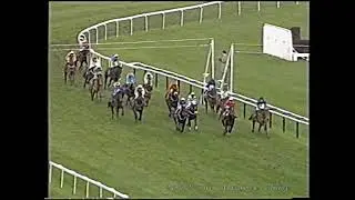 2002 Sun Alliance Chase Hussard Collonges
