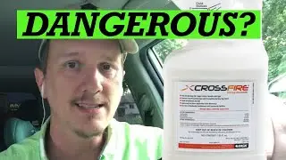 Are Pesticides for Bed Bugs Safe? - Best Way to Eliminate Bed Bugs and Not Harm Anyone At All