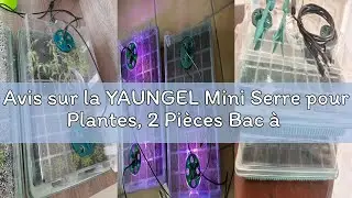 Avis sur la YAUNGEL Mini Serre pour Plantes, 2 Pi&egrave;ces Bac &agrave; Semis avec Lampes de Culture, Contr&ocirc;leur