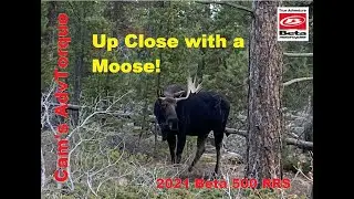 2021 Beta 500 RRS - Boulder to West Mag via Flag Staff & 68J