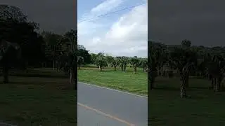 mi finca