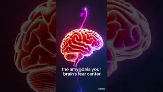 Why Do We Remember Pain More Than Joy?