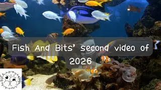 Fish And Bits' Second Video of 2026 (1 Bit 2 Bit 4 Bit 8 Bit 16 BIT 32 Bit 128 Bit)