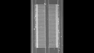 Single Neuron Arraying