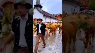 Virtual Fencing is Next level 😳🐮
