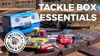 Tackle Box Essentials