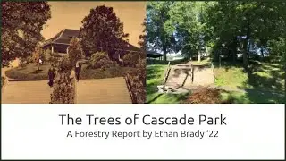 The Trees of Cascade Park: A Forestry Report (1st of 4 intern presentations)