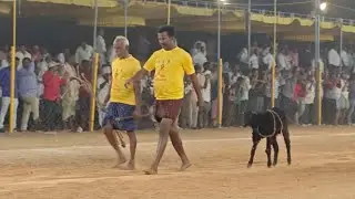 నరసరావుపేట సీనియర్స్ విభాగం 11 వ జత PVSR బుల్స్