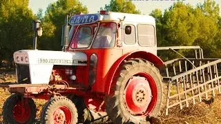 Sarmentando con David Brown 990 ||GoPro Hero3+|| |HD| Jovenes Agricultores