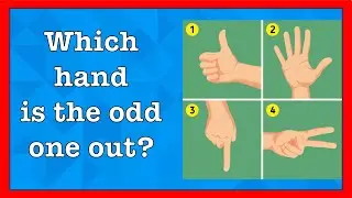 Mind-Twisting Riddles to Test Your Brain #riddles #braintest #funwithriddles #brainteasers #trending